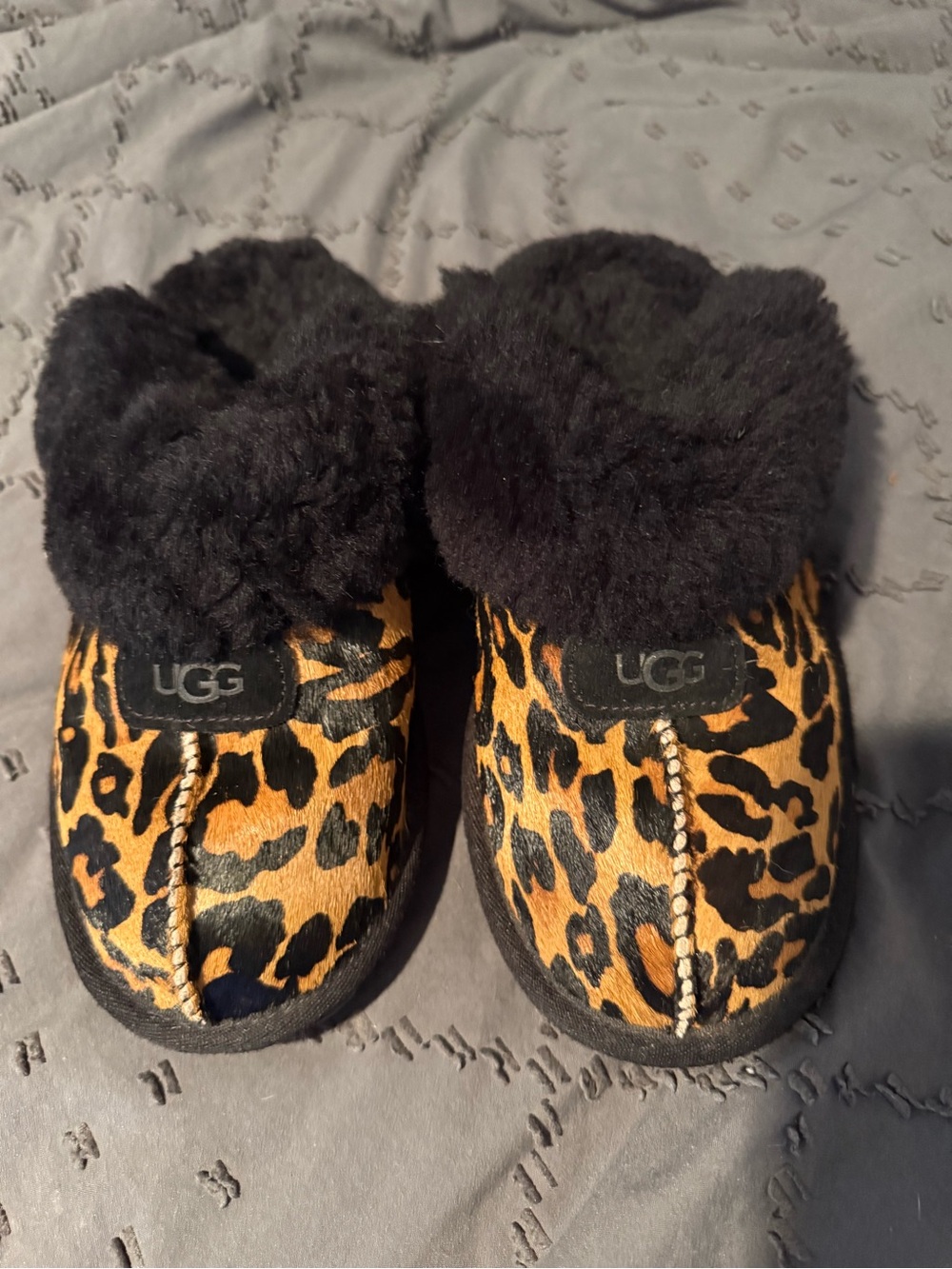UGG Coquette